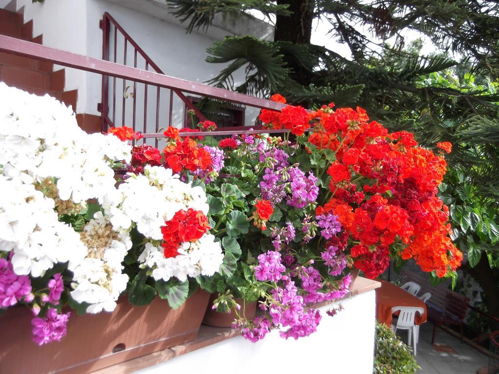Casavacanzeinsicilia Etna Taormina Vila Piedimonte Etneo Quarto foto