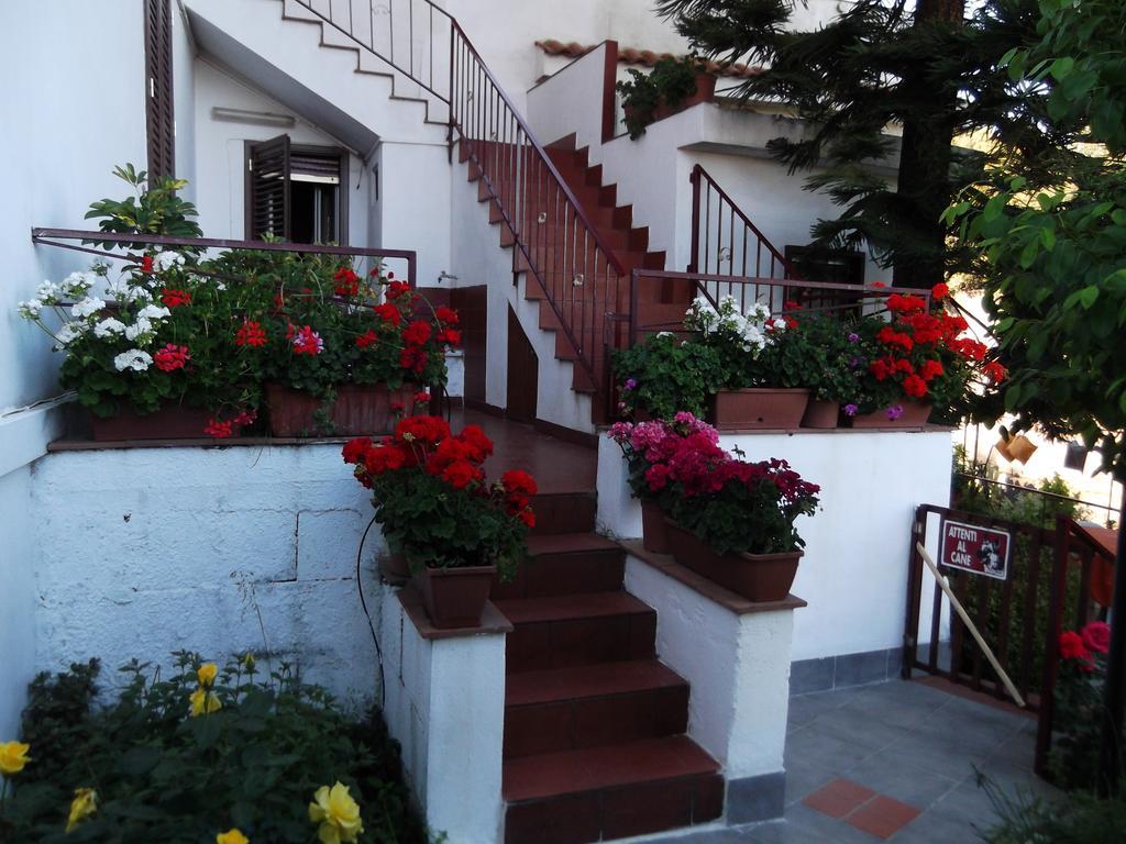 Casavacanzeinsicilia Etna Taormina Vila Piedimonte Etneo Exterior foto